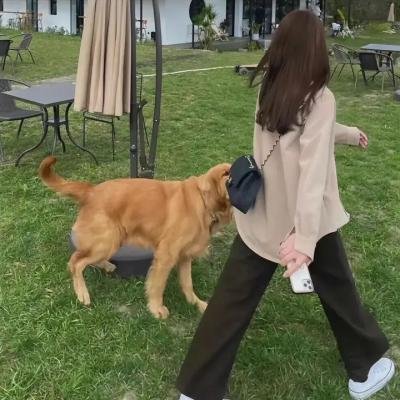 老娘爱最大